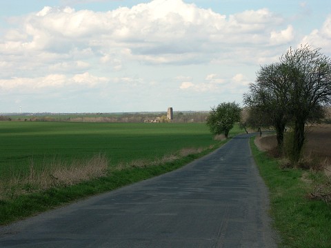 img00036.jpg