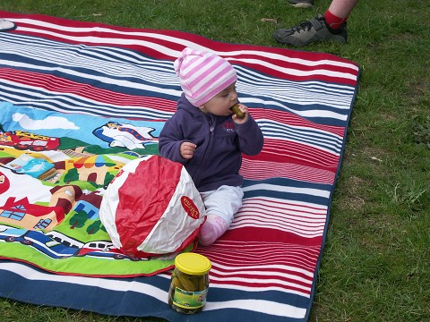 img00046.jpg